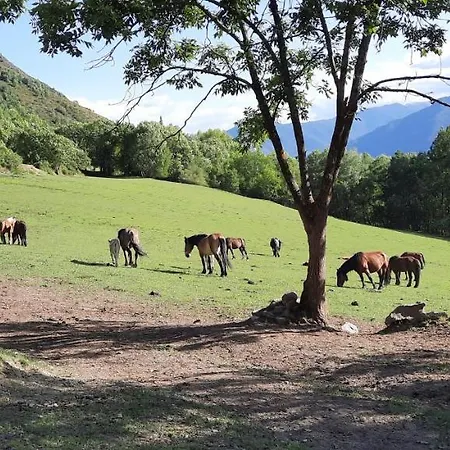 Casa Tonya Διαμέρισμα Unarre